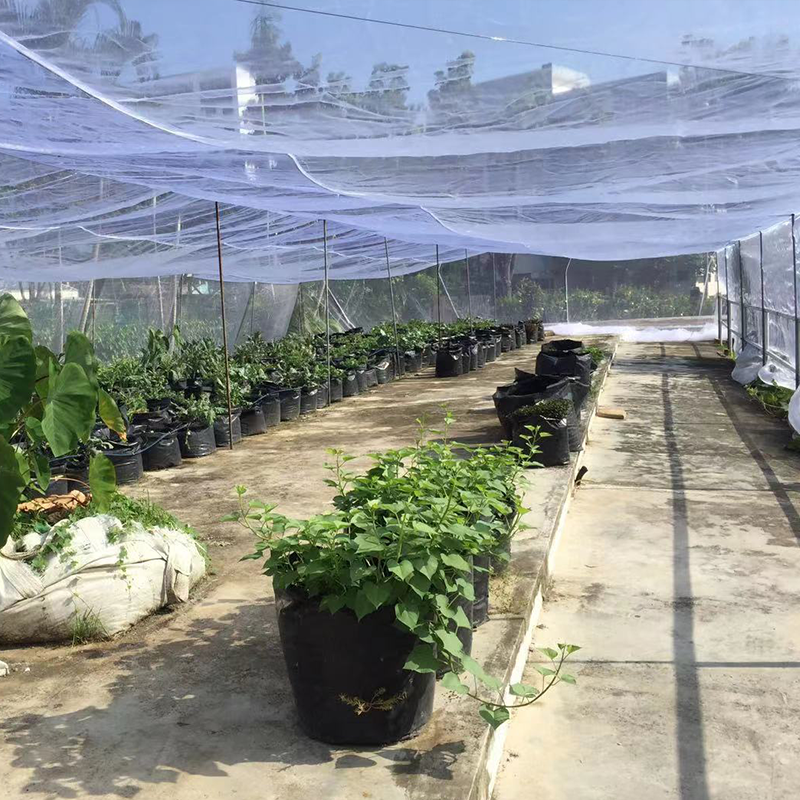 大棚防蟲網展示